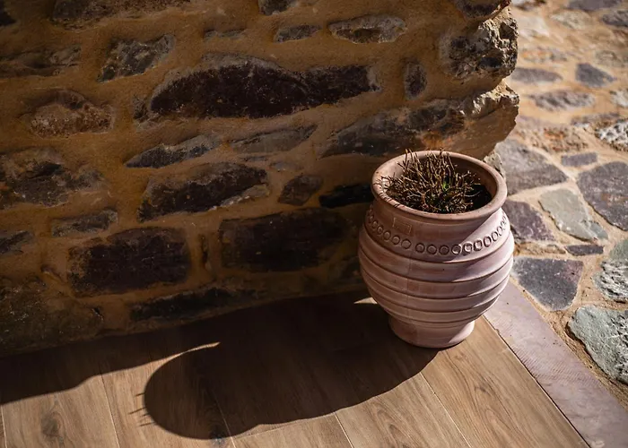 Stone House Koumani Tatil Evi